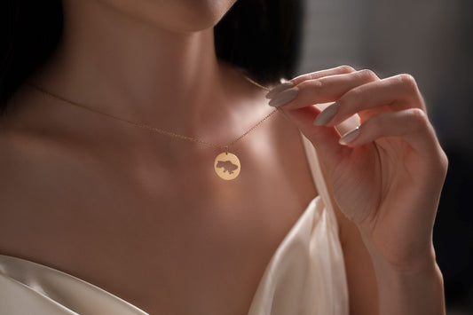 Coin Necklace with the Map of Ukraine